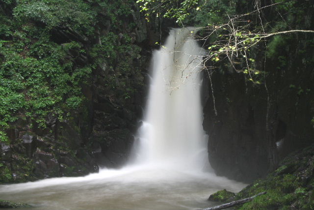 e0064133_0171856.jpg