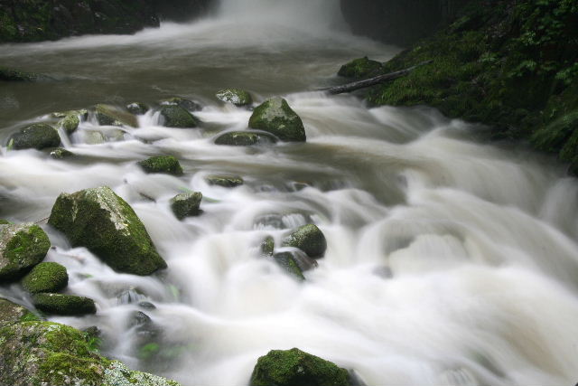 e0064133_0172566.jpg