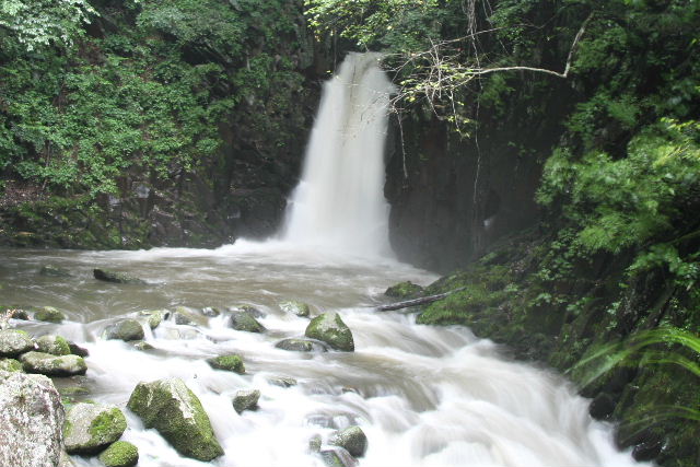 e0064133_017652.jpg
