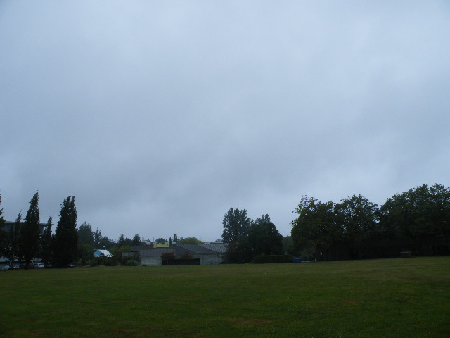 f0036534_18103168.jpg
