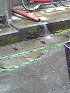 f0040734_20574745.jpg