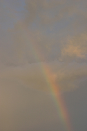 a0097735_0572098.jpg