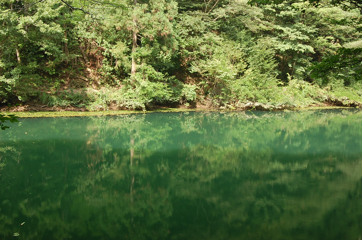 e0055138_0541555.jpg
