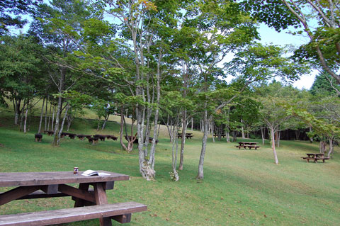d0164443_20404495.jpg