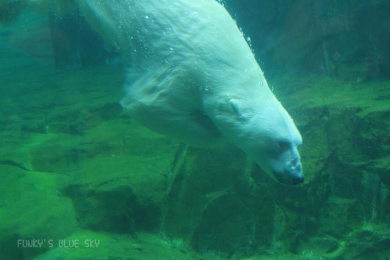 c0145250_16153819.jpg