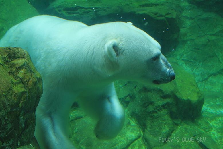 c0145250_16184772.jpg