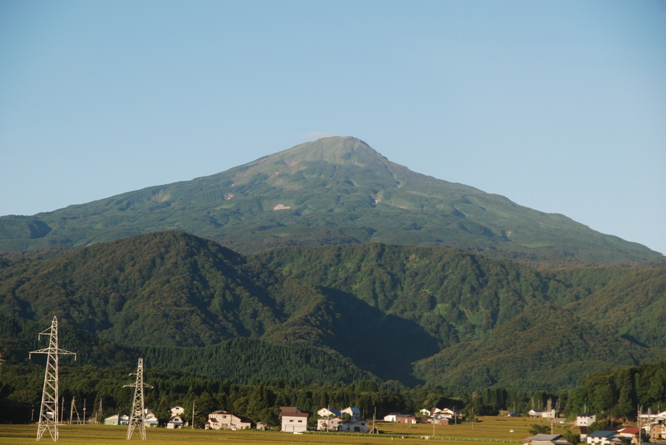 d0169556_1832016.jpg