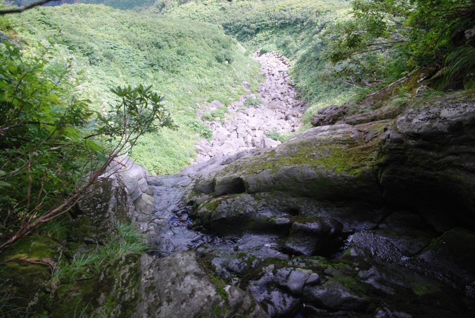 d0169556_1855855.jpg