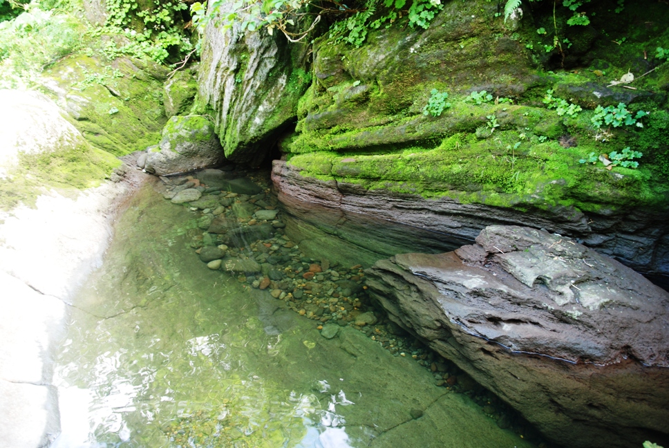 d0169556_1871739.jpg