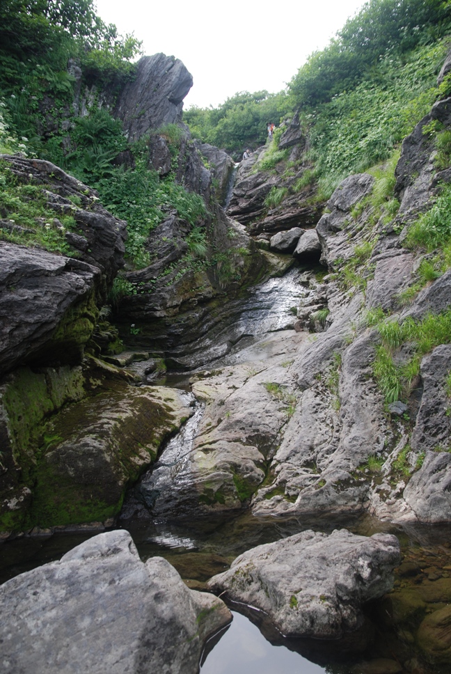 d0169556_1883622.jpg