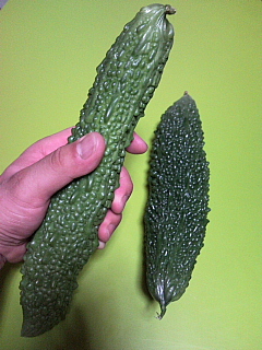 a0157160_2311666.jpg