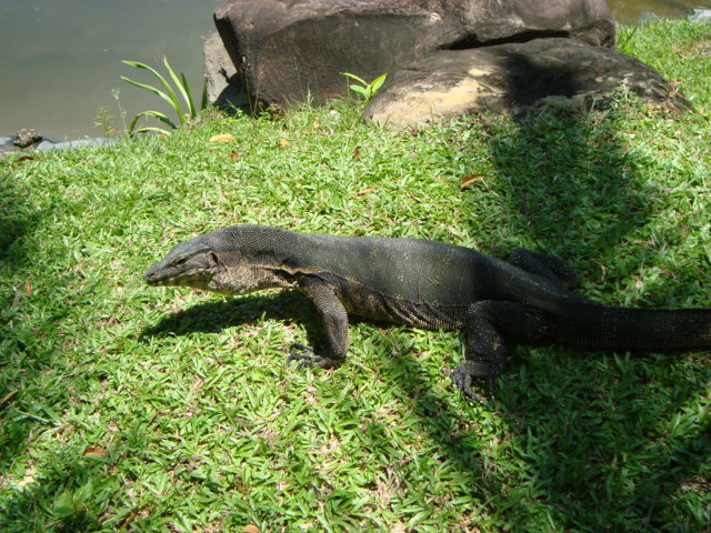 f0232060_1155626.jpg
