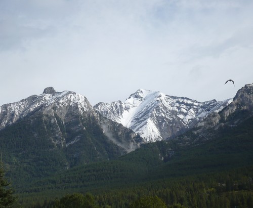 f0214562_332481.jpg