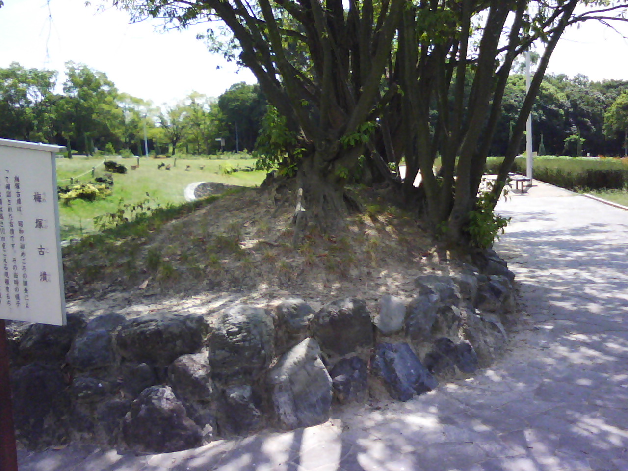 f0150767_15185437.jpg
