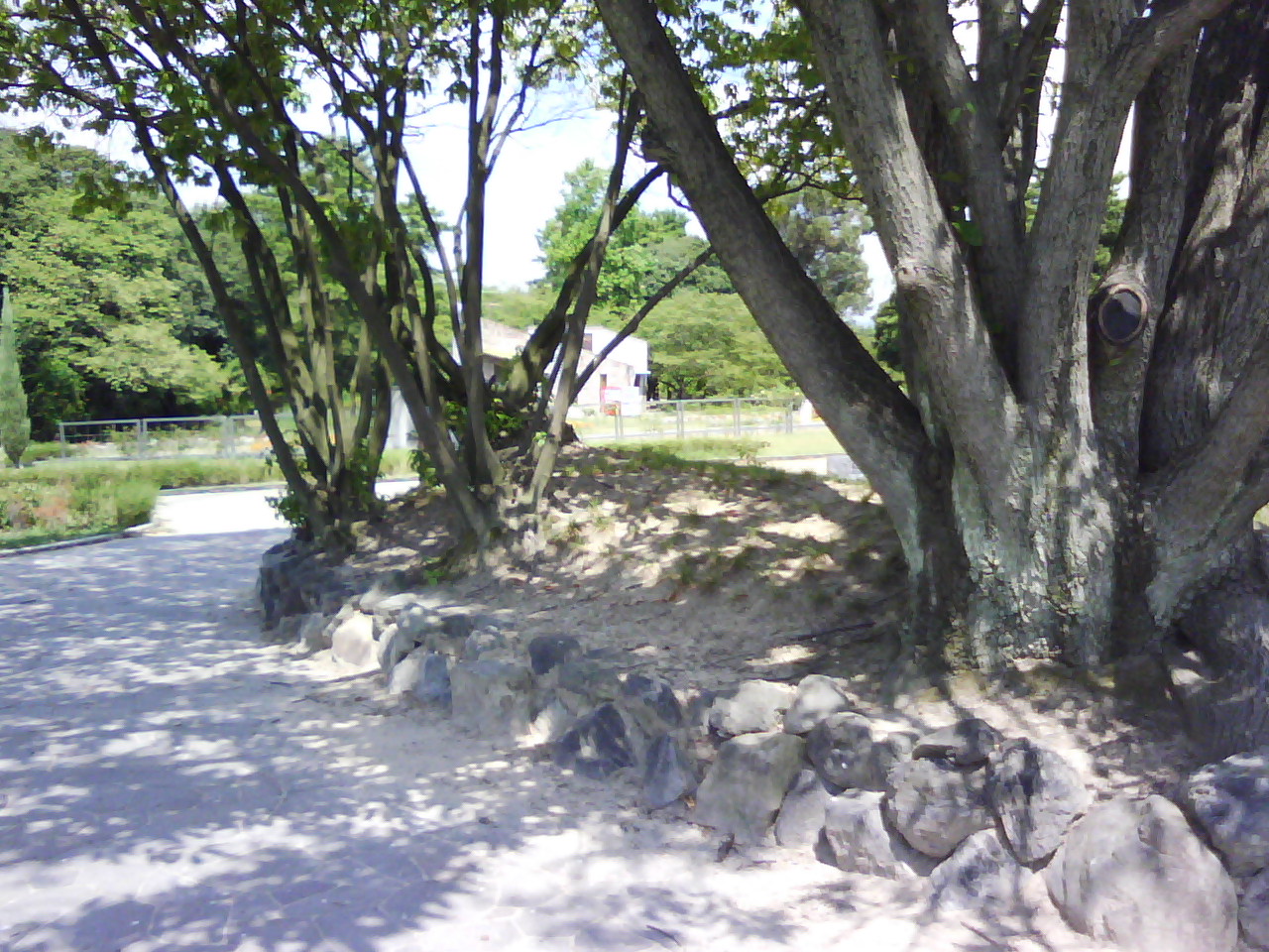 f0150767_1519192.jpg