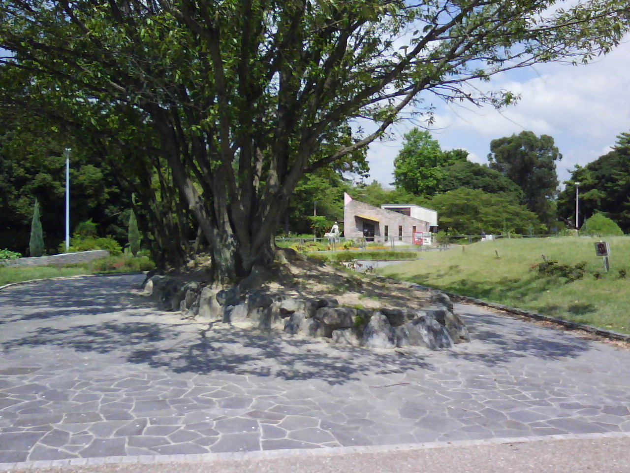 f0150767_151997.jpg
