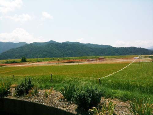 a0095069_1243513.jpg