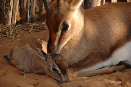 e0066474_20104591.jpg