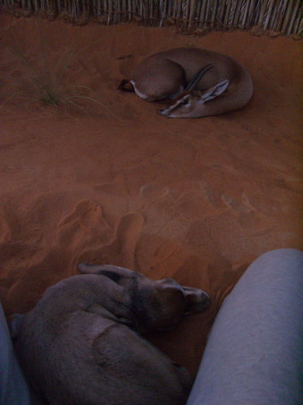 e0066474_2024286.jpg