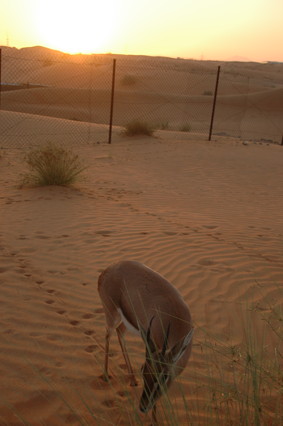 e0066474_20291829.jpg