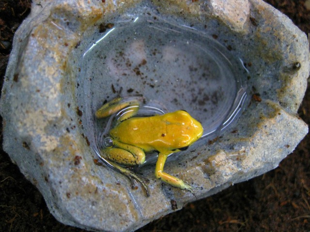 e0099576_17334689.jpg