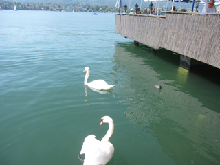 f0225877_6254936.jpg