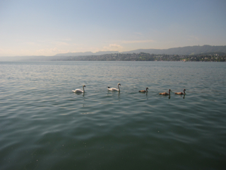f0225877_626524.jpg