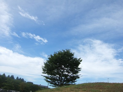b0143879_2184783.jpg