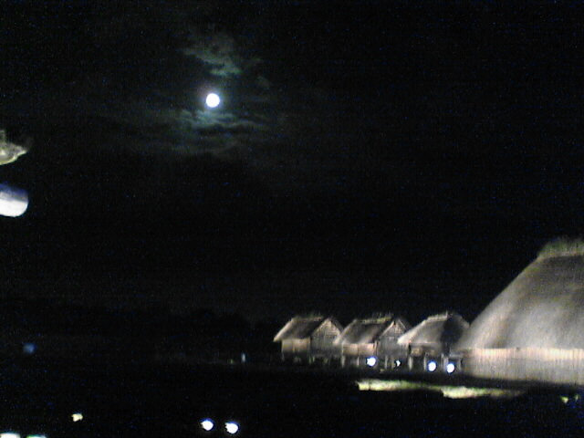 c0069380_1181453.jpg