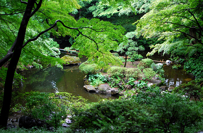 c0009981_704743.jpg