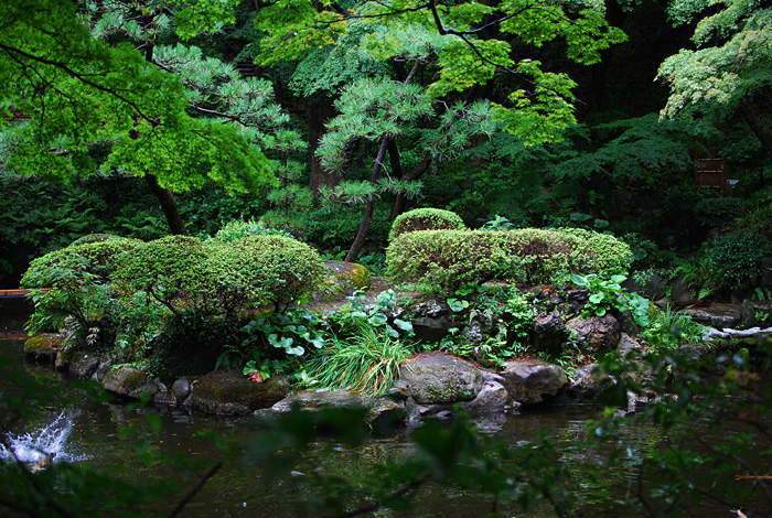 c0009981_72248.jpg