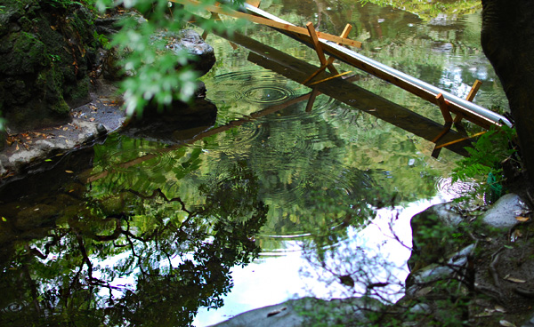 c0009981_724041.jpg