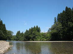 a0062983_15192448.jpg