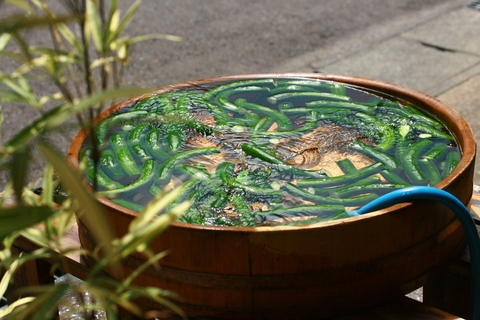 b0090883_8204055.jpg