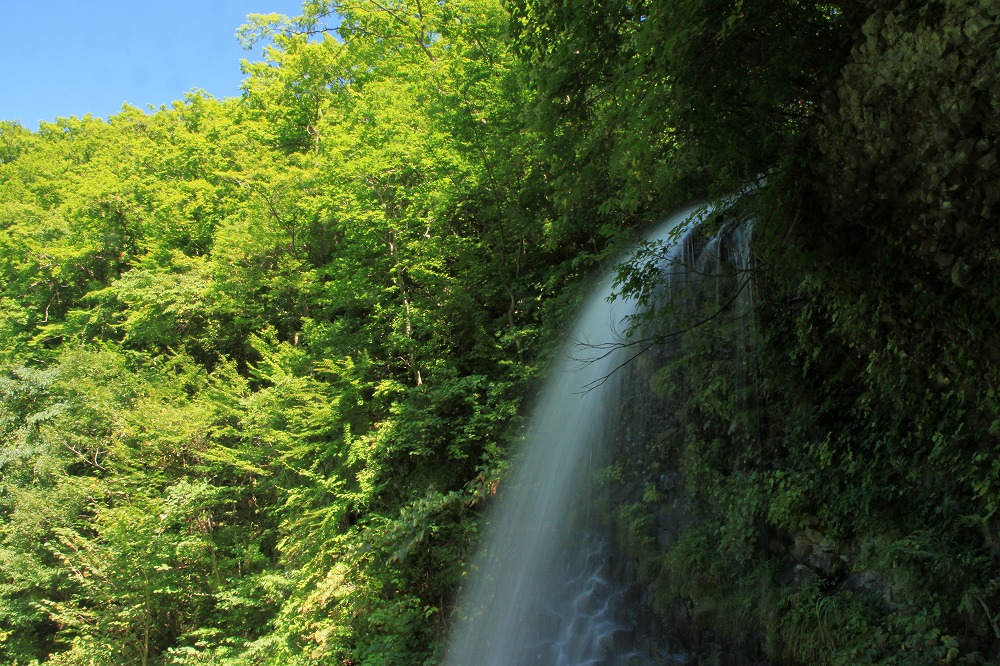 a0152184_22332256.jpg