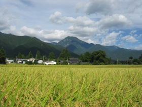 a0034487_19523122.jpg