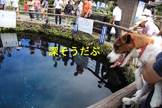 e0121589_2322736.jpg