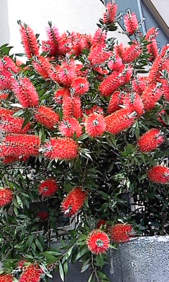f0166694_2148393.jpg