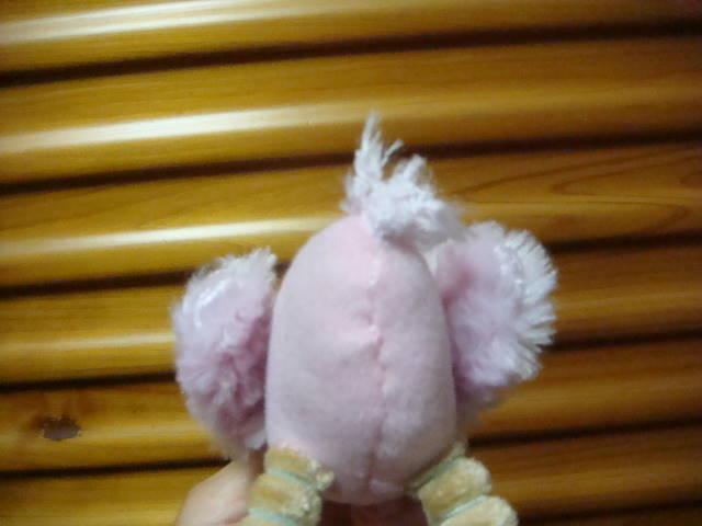 d0098295_16454658.jpg