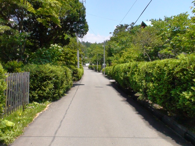 d0085096_2093892.jpg