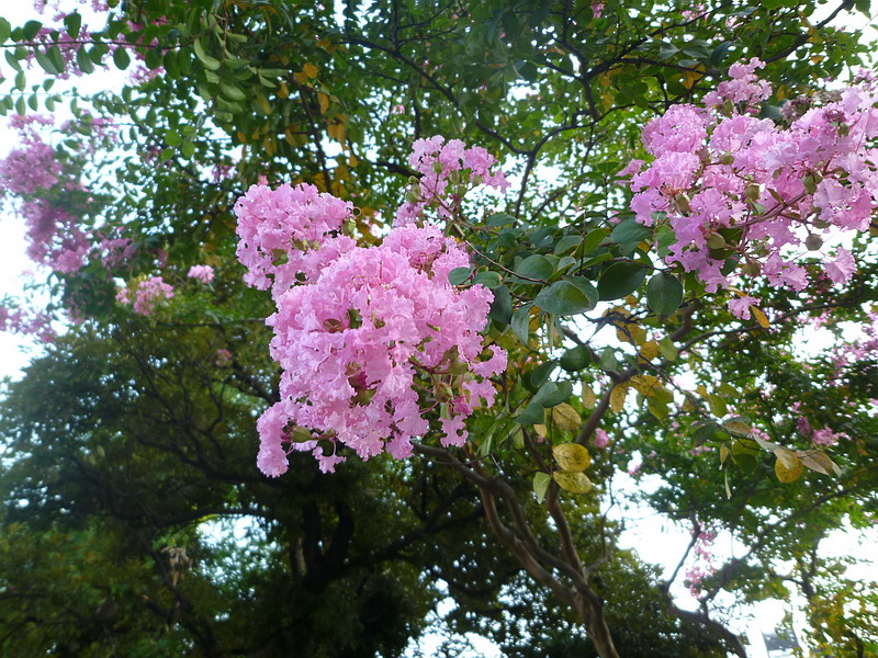c0138198_1410093.jpg