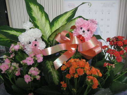 e0077599_167542.jpg