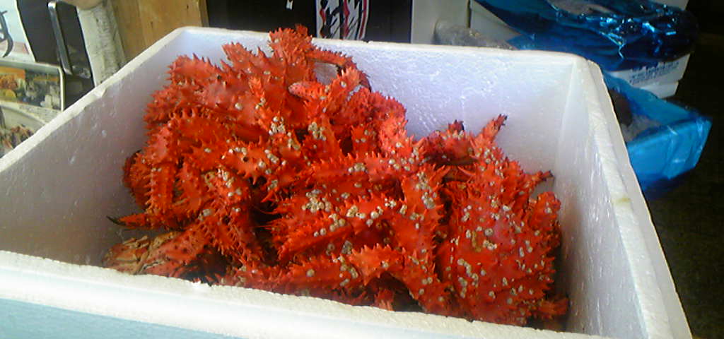 f0237601_13471299.jpg
