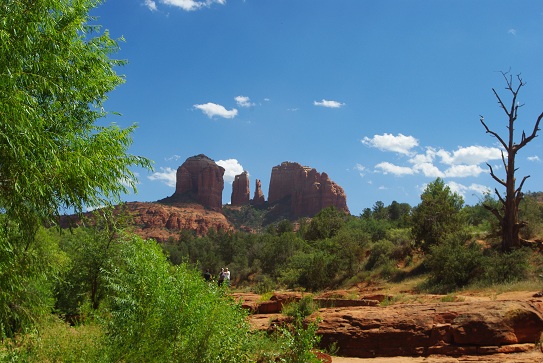 f0038904_1030504.jpg