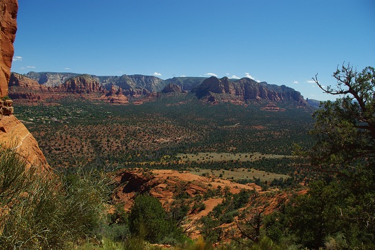 f0038904_1075686.jpg