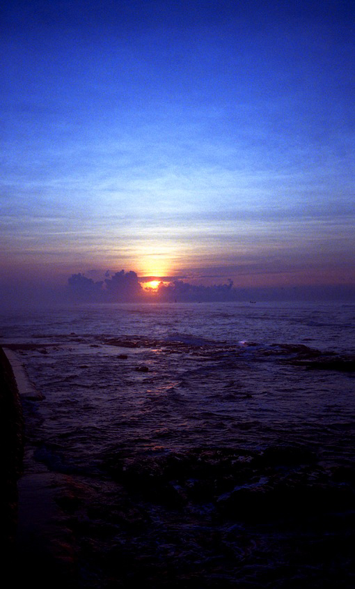 d0119505_403925.jpg