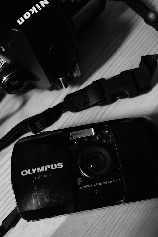 d0119505_41771.jpg
