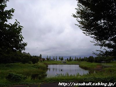 e0145805_1842979.jpg