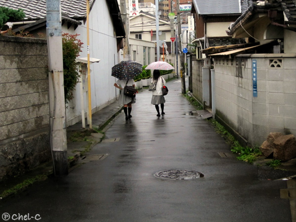 a0154706_220393.jpg