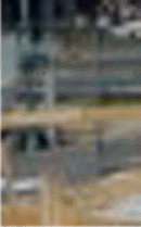 e0103408_1437141.gif